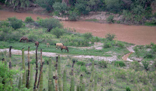 Conagua dio a conocer que se inició un procedimiento administrativo contra Grupo México, por el derrame en río de Sonora.