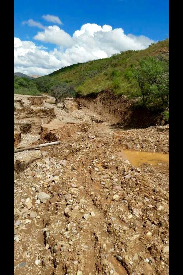 Detectan 4 represas rebosantes de tóxicos en Sonora