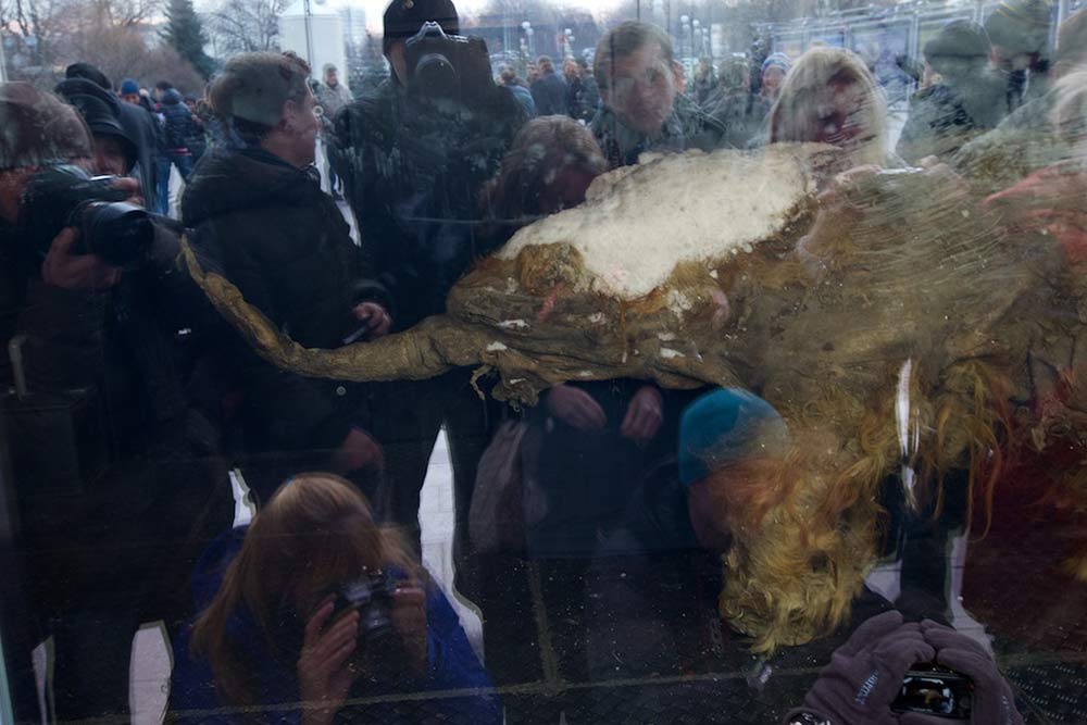 mamut de casi 40 mil años