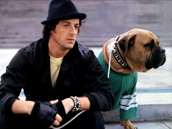 Stallone terminó pagando 15 mil dólares al sujeto para recuperar a su mascota y además le ofreció un papel en su película 'Rocky' de 1976. (United Artists)