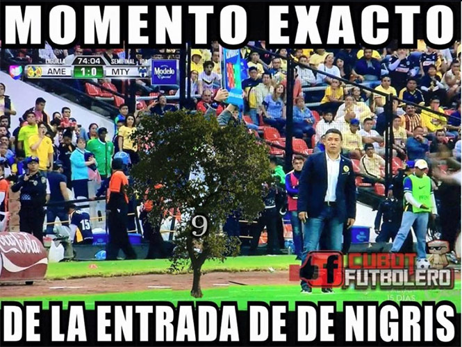 Image Result For En Vivo Vs En Vivo A Image Result For En Vivo Vs En Vivo A