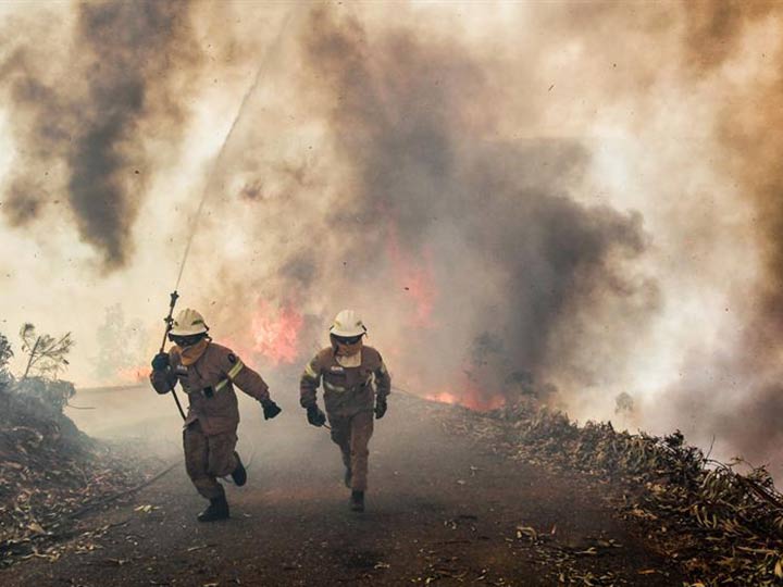 Llega a 62 el número de muertos por incendio forestal en Portugal