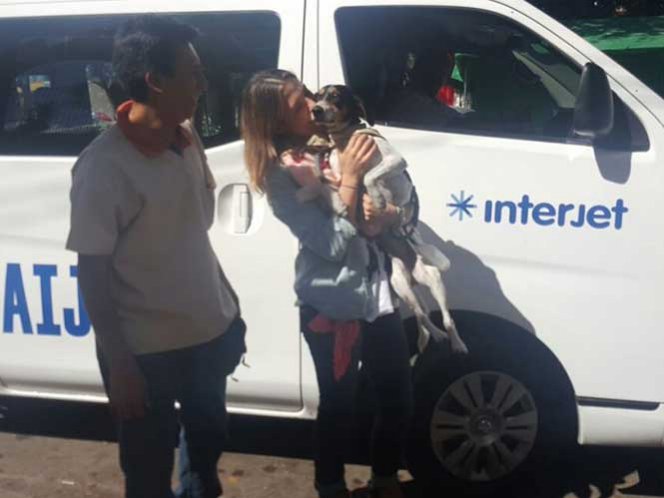 El gerente de servicios al cliente de Interjet agregó que al veterinario que encontró a la mascota en el deportivo Oceanía se le dio una recompensa de cinco mil pesos El gerente de servicios al cliente de Interjet agregó que al veterinario que encontró a la mascota en el deportivo Oceanía se le dio una recompensa de cinco mil pesos