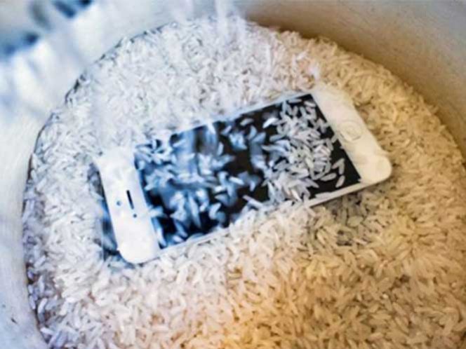 "Mete tu celular en arroz": todos, cuando se te moja, pero ¿realmente funciona?... ¡Aquí te lo decimos!